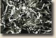 Torn Paper with Confetti