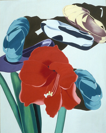 Amaryllis with Shoes