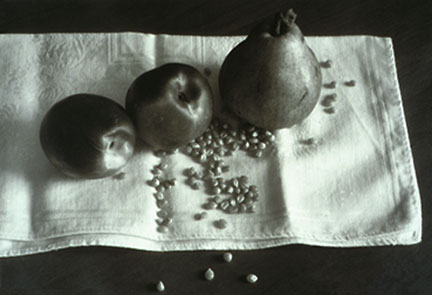 Pear with Two Nectarines & Corn