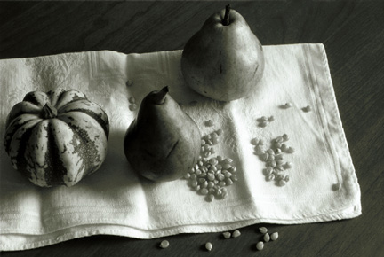 Squash with Two Pears & Corn