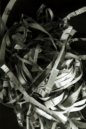 Vertical Torn Paper-2