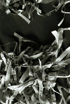 Vertical Torn Paper-3