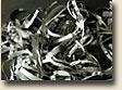 Torn Paper with Photos
